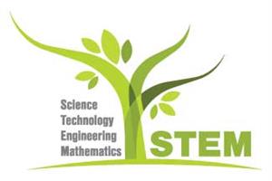 stem 